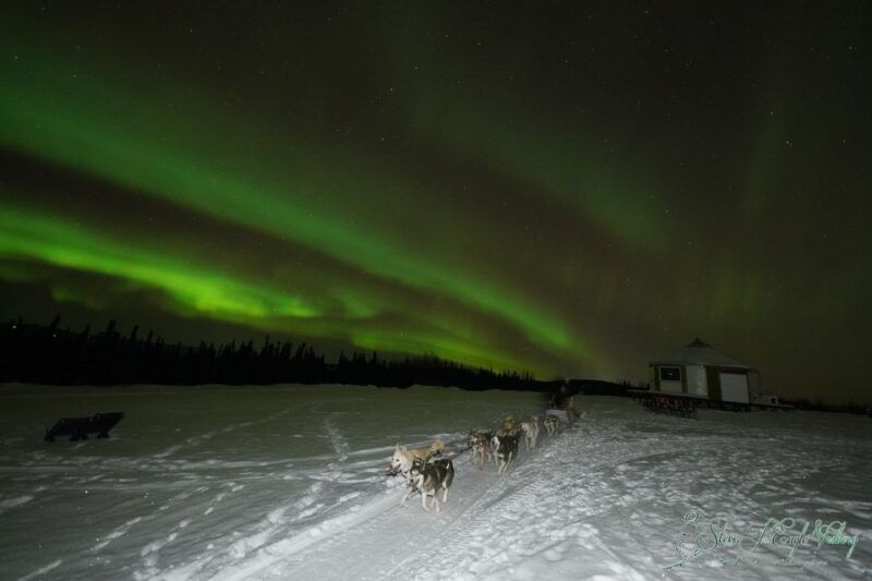 fairbanks-moonlight-dog-sled-dinner-northern-lights
