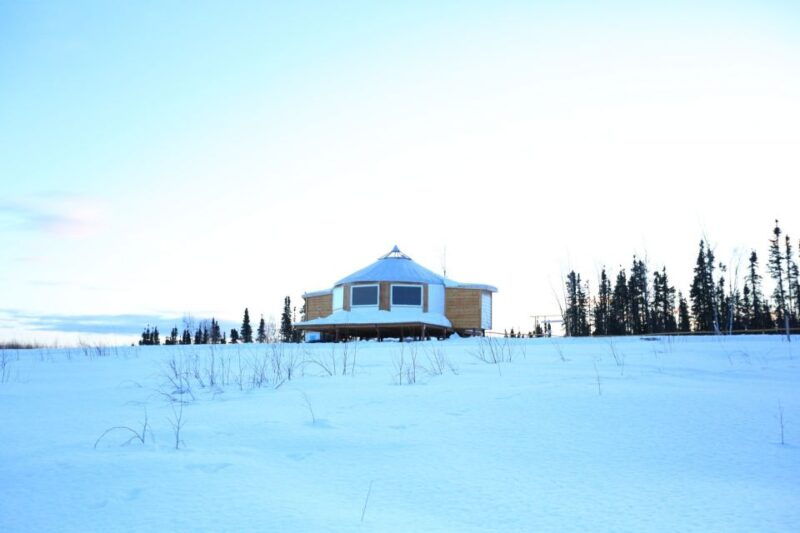 fairbanks-moonlight-dog-sled-dinner-northern-lights