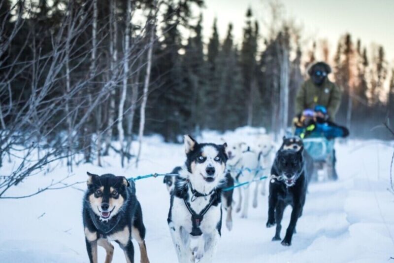 Fairbanks: Private Mush on the Historic Yukon Quest Trail - Overview of the Experience