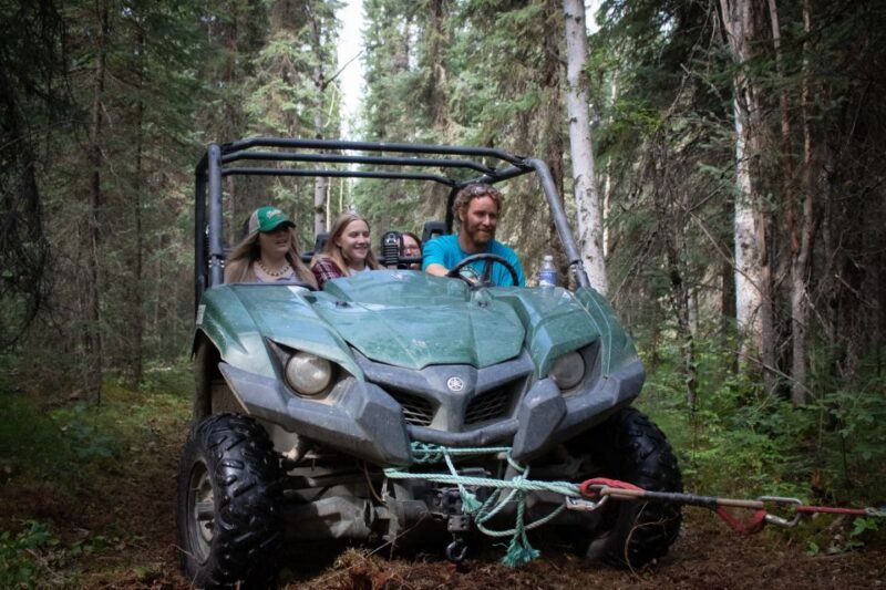 fairbanks-summer-mushing-cart-ride-and-kennel-tour