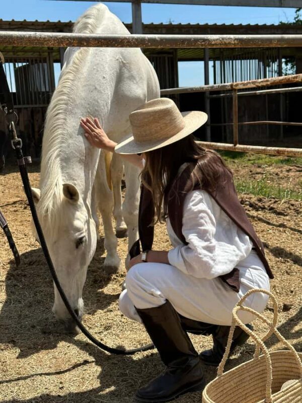 Fairlie,New Zealand: Full Day Private Backcountry Horse Trek - Why This Tour Stands Out