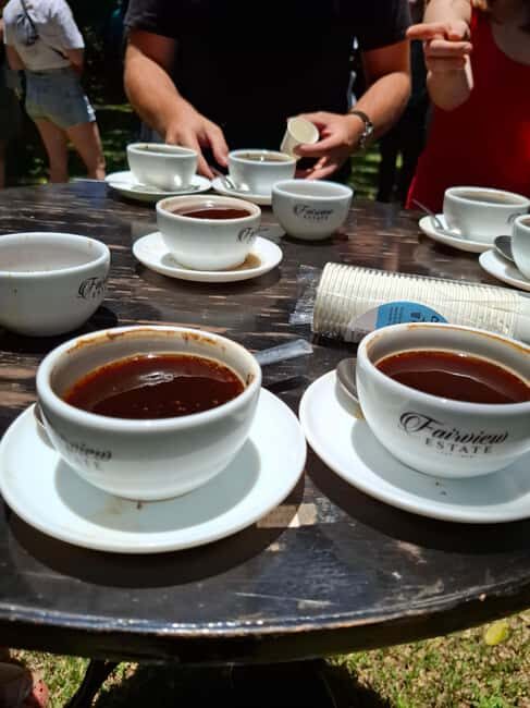Fairview Coffee Estate day Tour - Key Points