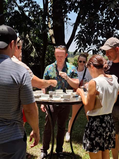 Fairview Coffee Estate day Tour - A Deep Dive into the Fairview Coffee Estate Day Tour