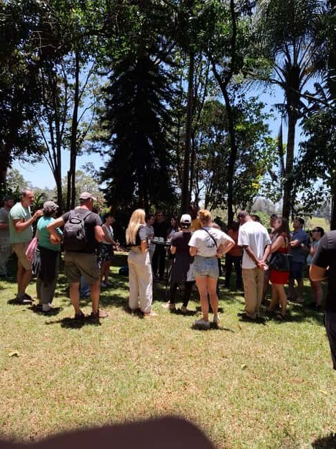 Fairview Coffee Estate day Tour - The Sum Up