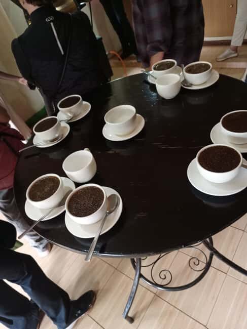 FAIRVIEW COFFEE FARM DAY TOUR - Key Points