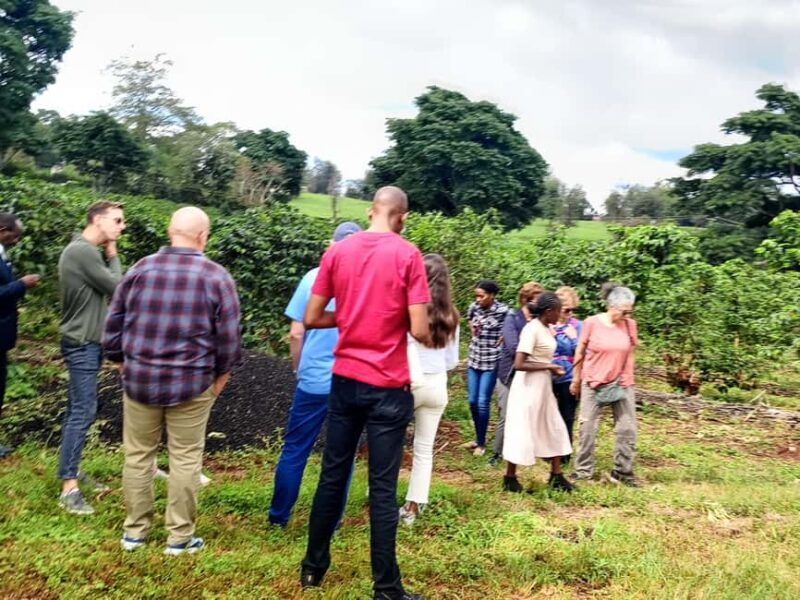 FAIRVIEW COFFEE FARM DAY TOUR - Who Would Enjoy This Tour?