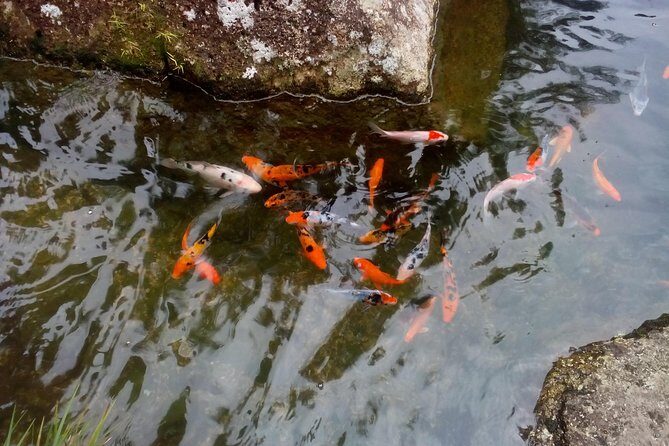 Fairy Tale Colmar Tropicale, Japanese Garden, Genting Highlands - Who Is This Tour Best Suited For?