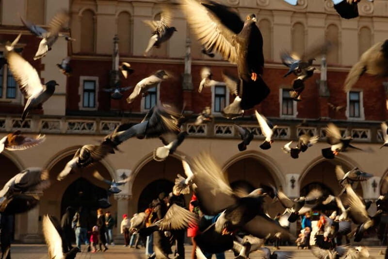 Fairy Tales and Legends of Krakow Guided Tour - Who Should Consider This Tour