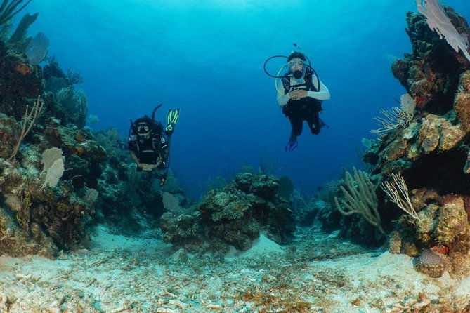 fajardo-2-tank-scuba-dive-for-certified-divers-only