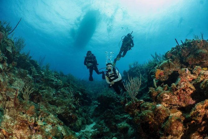 fajardo-2-tank-scuba-dive-for-certified-divers-only