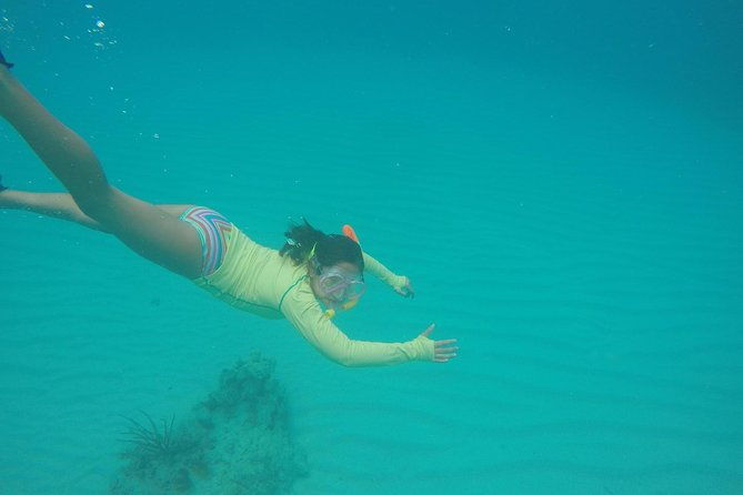 fajardo-afternoon-snorkeling-adventure-tour