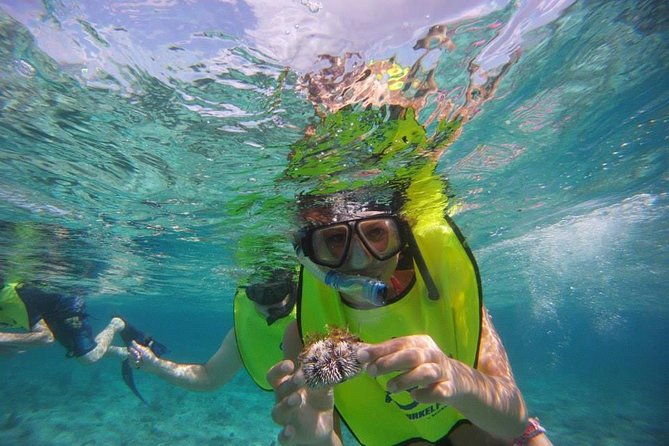 fajardo-afternoon-snorkeling-adventure-tour