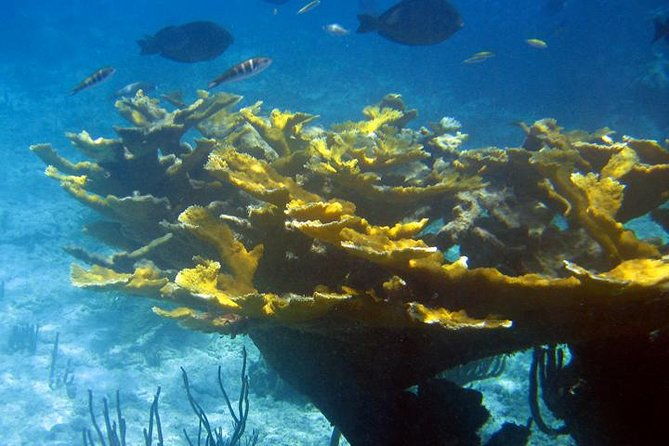 fajardo-afternoon-snorkeling-adventure-tour