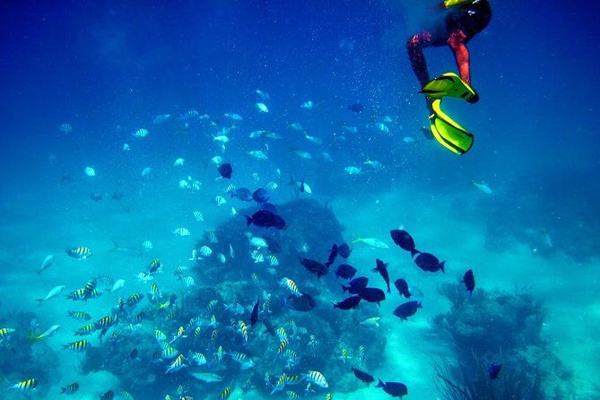 fajardo-mini-boat-snorkel-safari