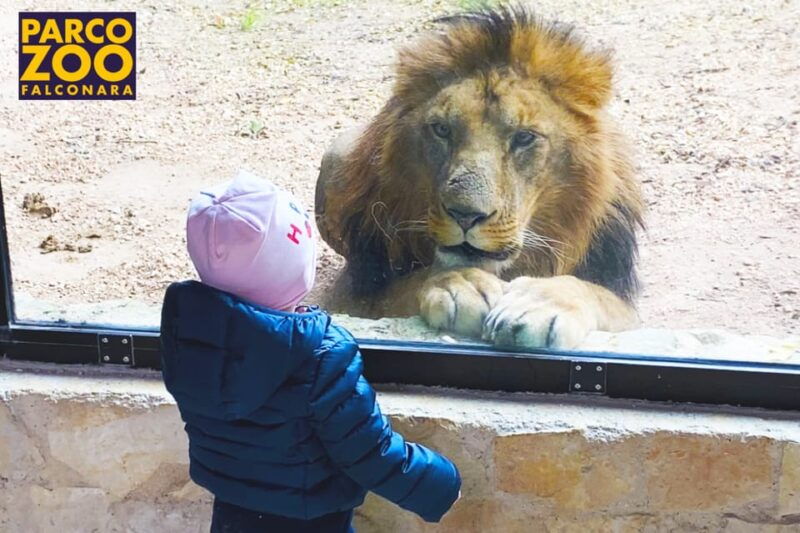 falconara-marittima-zoo-falconara-park-entry-ticket