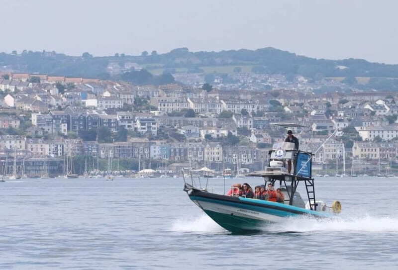 Falmouth: 2 Hour Wildlife Watching RIB Tour - Key Points