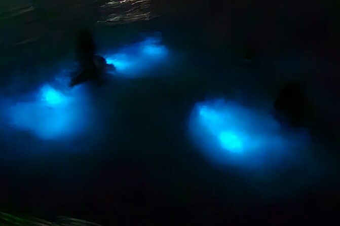 falmouth-bioluminous-lagoon-night-tour-with-boat-ride-and-swim