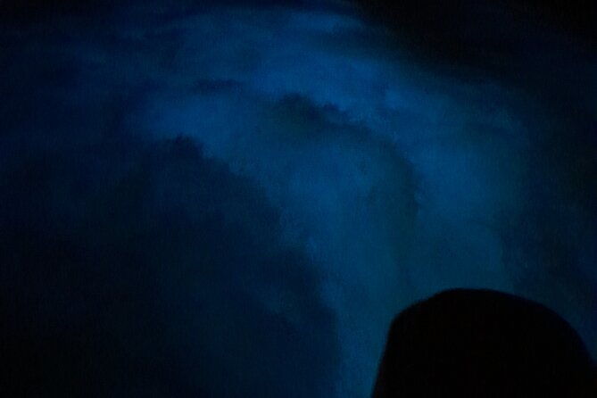 falmouth-bioluminous-lagoon-night-tour-with-boat-ride-and-swim