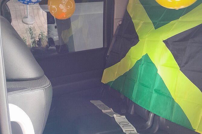 falmouth-bioluminous-lagoon-night-tour-with-boat-ride-and-swim