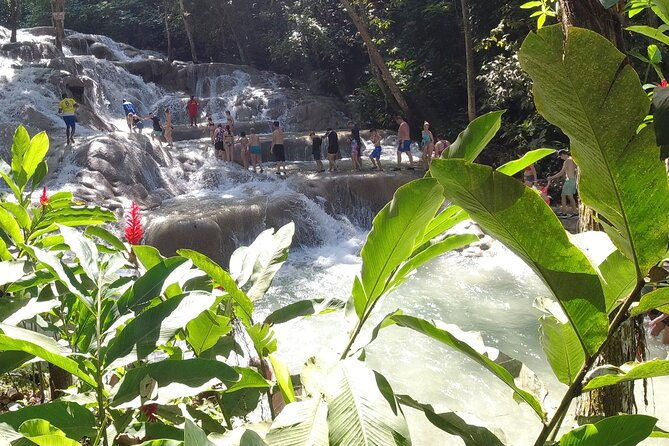 falmouth-to-ocho-rios-guided-tour-dunns-river-falls-shopping