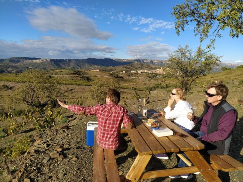 falset-guided-wine-tour-to-the-priorat-by-a-local