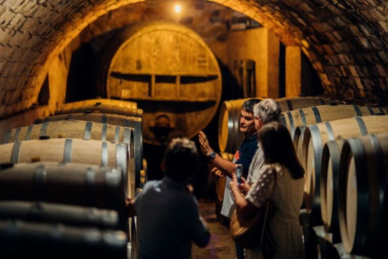 falset-guided-wine-tour-to-the-priorat-by-a-local