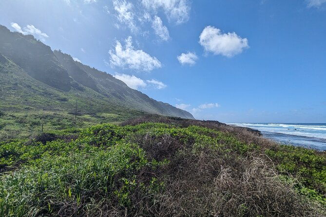 famed-north-shore-tour