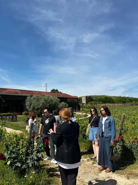 Familia Torres Winery: Gastronomic Tapas & Wine Experience - Why This Tour Is Worth Considering