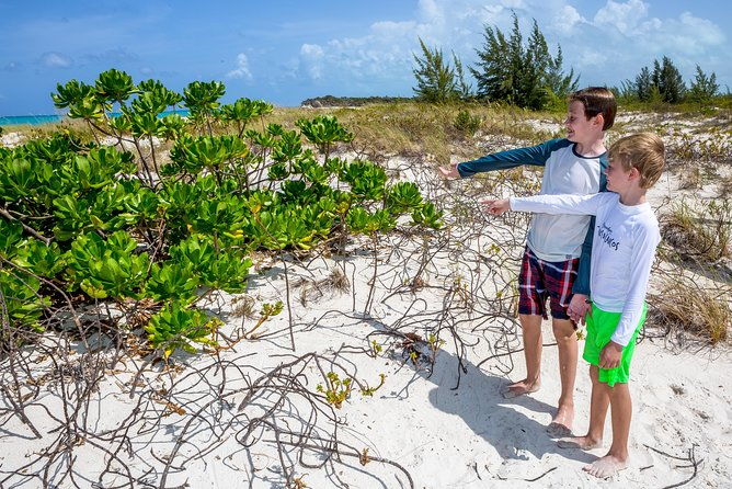family-catamaran-snorkeling-cruise-turks-caicos