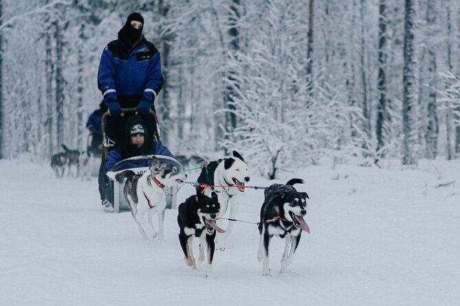family-day-reindeer-husky-and-snowmobiling-in-levi-2