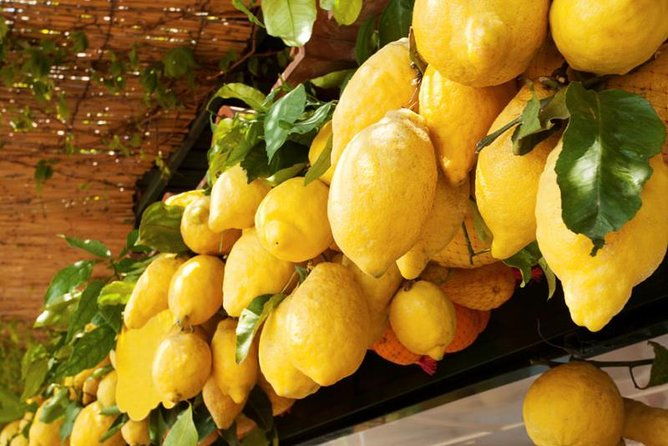 family-farm-experience-with-olive-oil-vegetables-limoncello-and-grandmas-lunch
