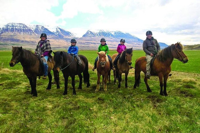 family-friendly-horse-riding-tour-in-skagafjordur