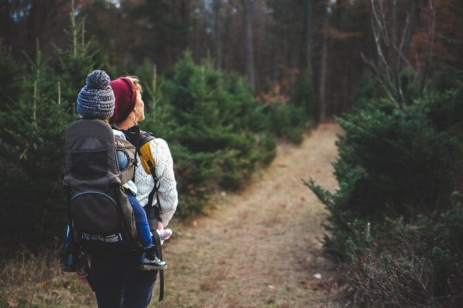 family-friendly-nature-hike-around-the-big-bear-valley-2