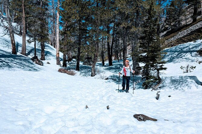 family-friendly-nature-hike-around-the-big-bear-valley-2