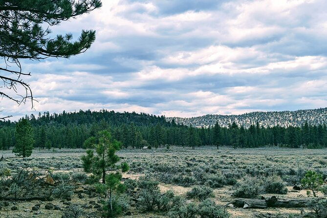 family-friendly-nature-hike-around-the-big-bear-valley-2