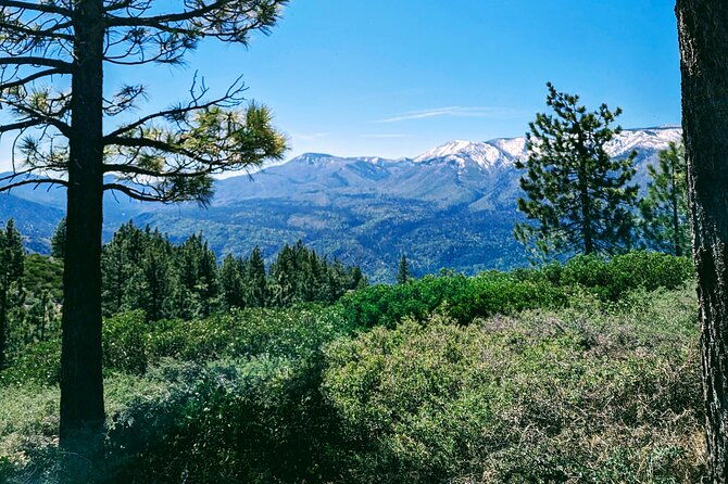 family-friendly-nature-hike-around-the-big-bear-valley