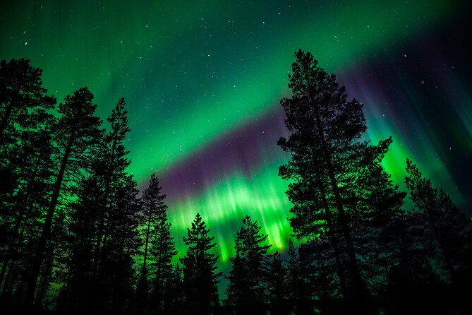 family-friendly-northern-lights-adventure-from-rovaniemi-2