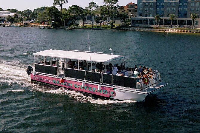 Family-Friendly Snorkeling and Dolphin Tour from FWB - Analyzing the Experience: What to Expect