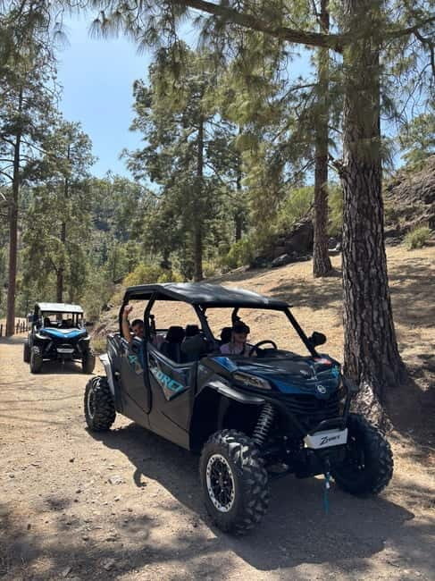 FAMILY FUN MONSTER BUGGY TOUR - Key Points