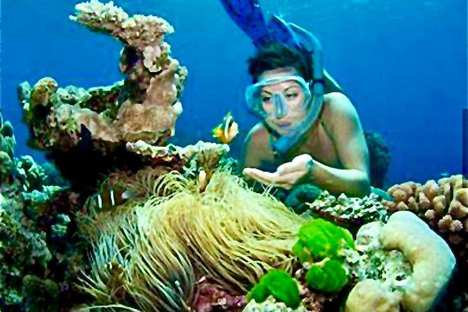 family-fun-snorkeling-activity-in-montego-bay-w-lunch-stop