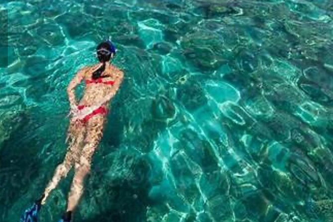 family-fun-snorkeling-activity-in-montego-bay-w-lunch-stop