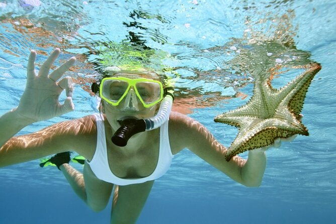 family-fun-snorkeling-activity-in-montego-bay-w-lunch-stop