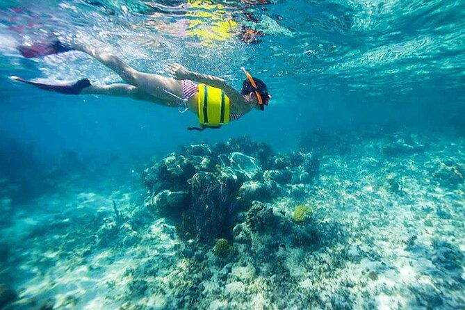 family-fun-snorkeling-activity-in-montego-bay-w-lunch-stop