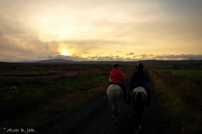 Family Horse Riding Tour in Thorlakshofn - Exploring the Details of the Horse Riding Tour in Thorlakshofn
