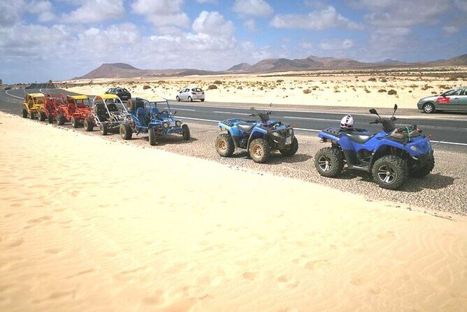 Family or double buggy safari & bedouin village in Sharm - FAQ