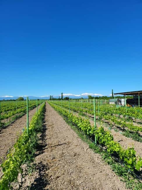 Family-owned Winery Tour with Candy Cane Mountain Visit - Exploring Candy Cane Mountain: A Natural Wonder