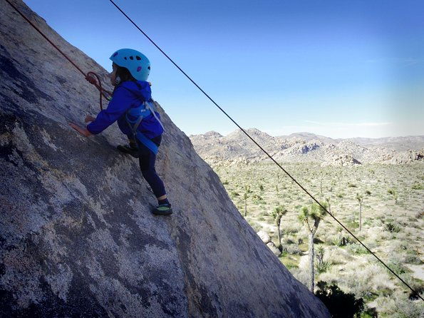 family-rock-climbing-trips-in-joshua-tree-national-park-8-hours
