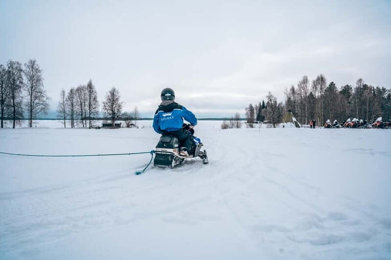 Family Snow Fun with Huskies, Reindeer, Mini Scooters, Lunch - How Does It Compare?  