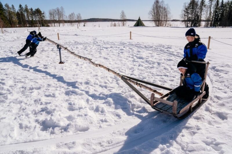 Family Snow Fun with Huskies, Reindeer, Mini Scooters, Lunch - Is This Tour Worth the Price?  
