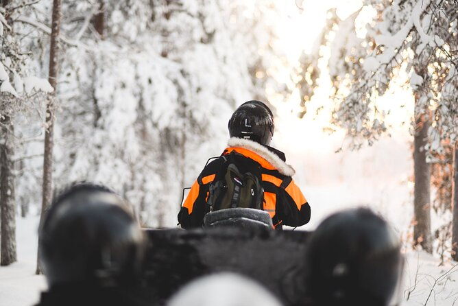 family-snowmobile-safari-from-santa-claus-village